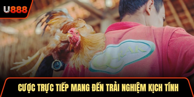 Cược trực tiếp mang đến trải nghiệm kịch tính